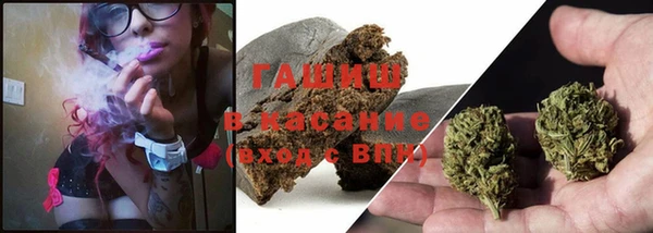 крисы Абаза