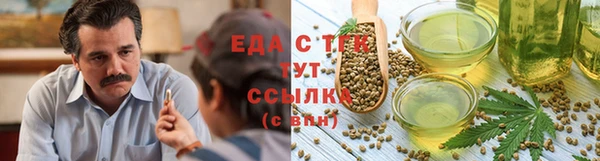 крисы Абаза