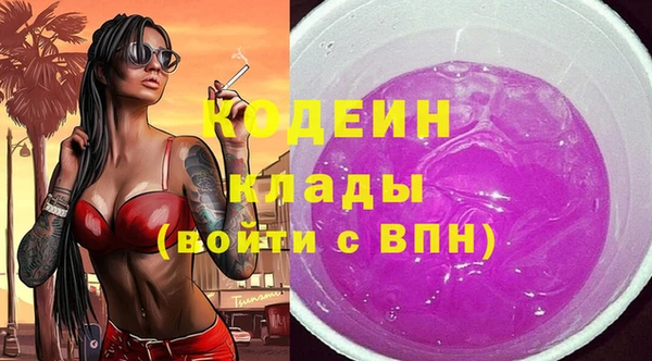 крисы Абаза