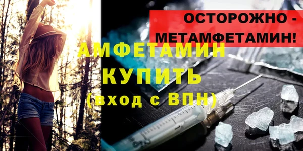 крисы Абаза