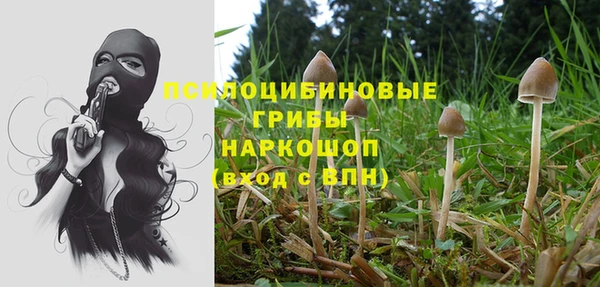 крисы Абаза