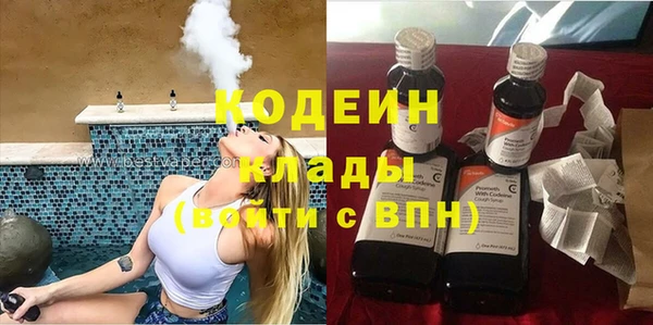 крисы Абаза