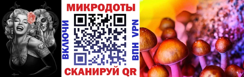 blacksprut ONION  где продают   Касимов  Галлюциногенные грибы Psilocybine cubensis 